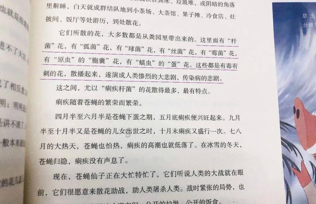蒸汽时代的公主